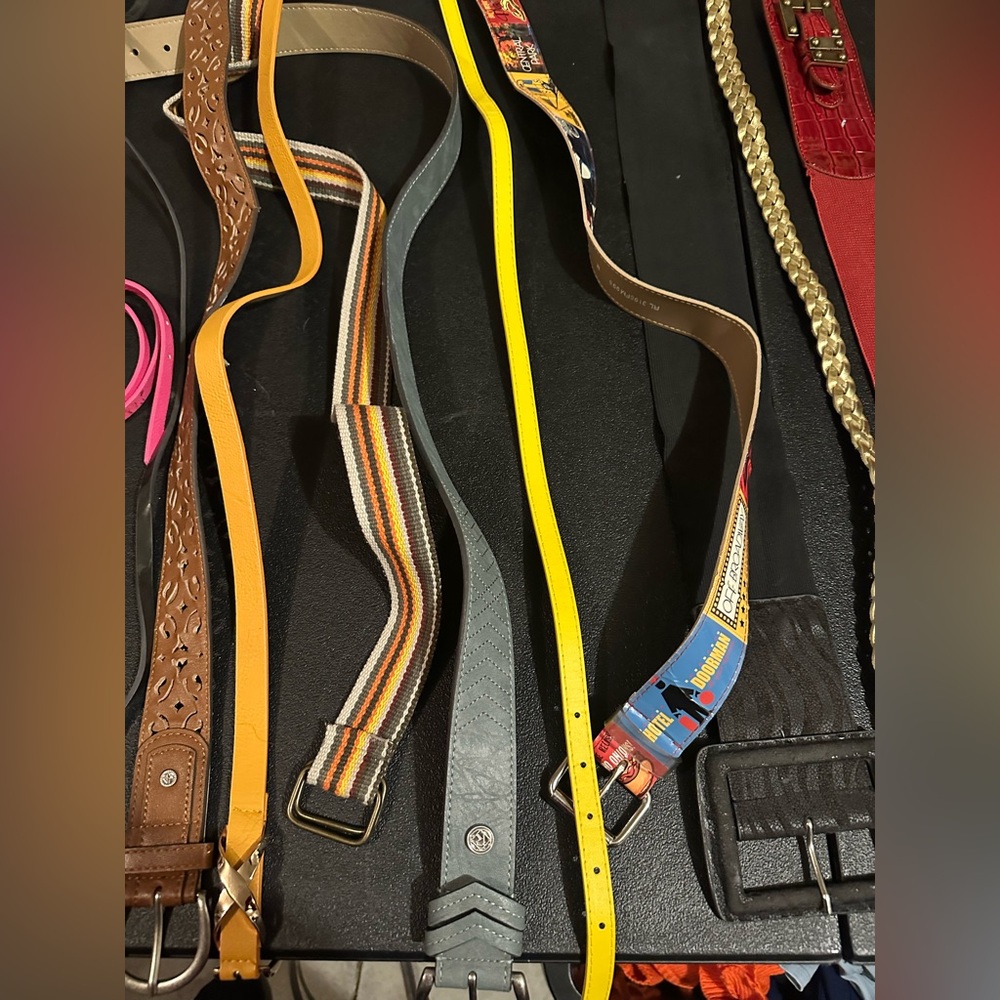 Colorful Belt Collection - Picture 3 of 4